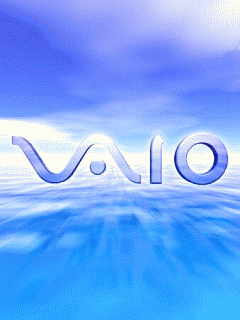 6033862008050701290262.gif