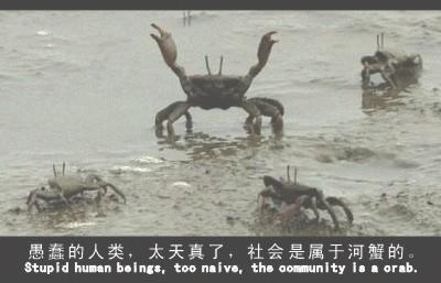 {D9B4C1EC-DF1E-B17B-42C4-7B1E2ECB41A4}.jpg