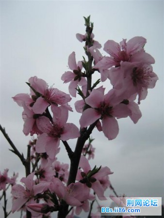 IMG_0290.jpg