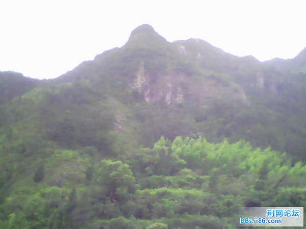 IMG0221A.jpg