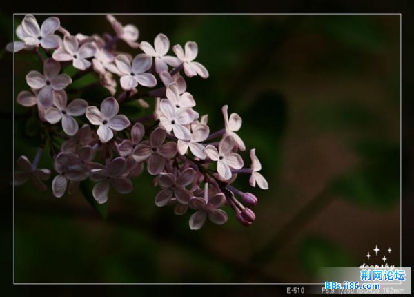 20090410_3192744d447b44fdb01dmcWzG70xkneK.jpg