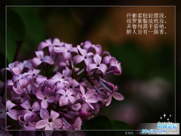 20090410_e401845d5c0875b90b347RjA1wZVBrgI.jpg