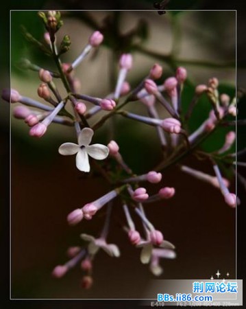 20090410_dfc9168fe43e1c1e3d73TQoj5qcOrxAi.jpg