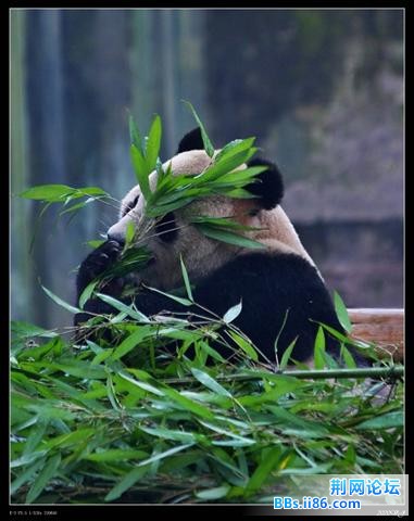 20081213_67db909309107304c46fIIuC1ee979Gz.jpg