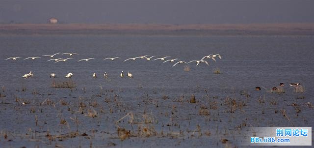 20081211_6139c97cea4c3bd7a9cabqwZVxSj1Zv5.jpg