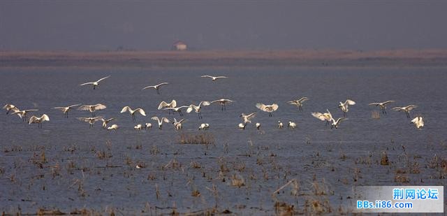 20081211_b2d70b421317e14e0de9wDMSNuWmXsXF.jpg