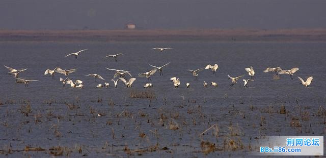 20081211_e1956bdc7968f7553d03E6ivSc9lh4Fp.jpg