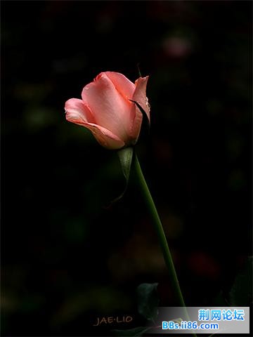 20090224_75f55e966e7082f66da8Un2Na2NhhuBF.jpg