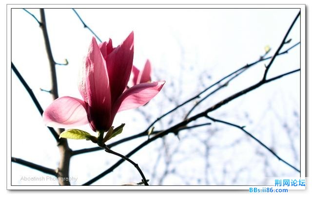 得分的e6472a44bf14b33b2esDPORhFHA8pg.jpg