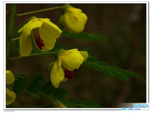 20090420_b13b93d2e3f90e73213cE9S9fy8Xzbhi.jpg