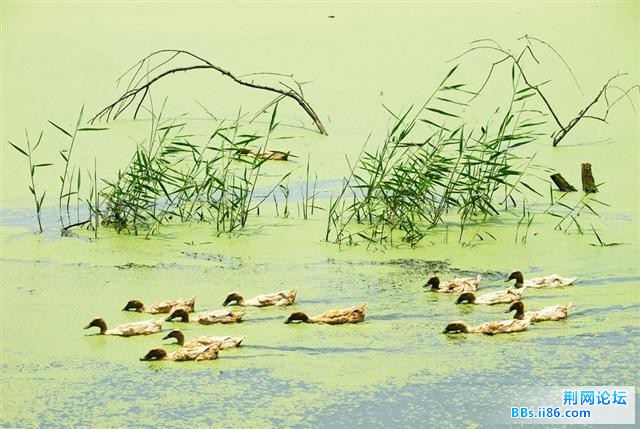 20090515_f4c1ed0c11e127e3e3869zLrOPsKUePr.jpg