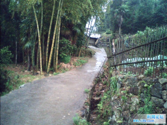 山间小路