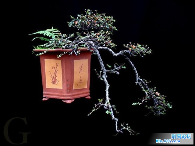 20090525_ee78bdf8855716d6126cSmjTQvU4xyOI.jpg