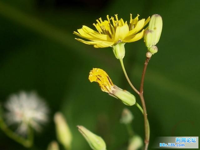 20090525_f34b44d6c077fba4d0d3LdkOBhNrhotd.jpg