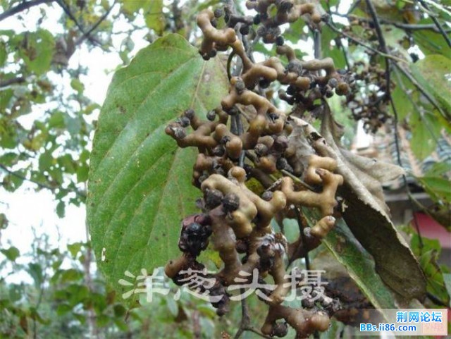 这个我觉得没有几个知道