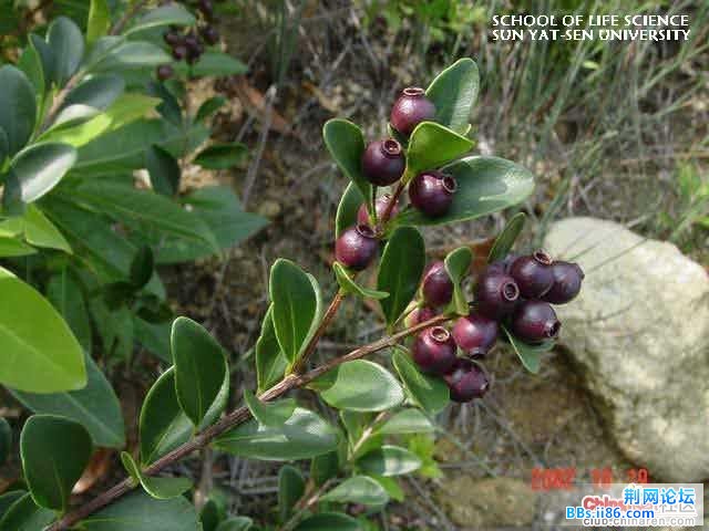 old_photo_qq_com.jpg