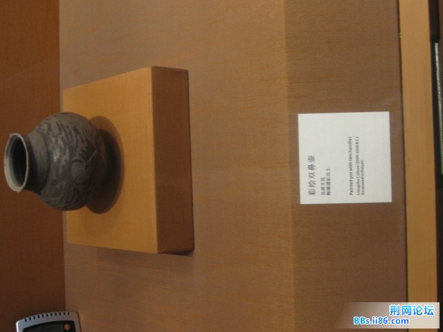 照片 026.jpg