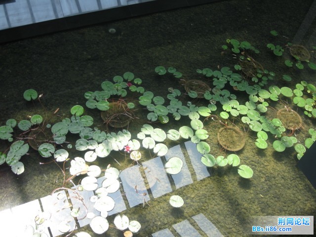 照片 034.jpg