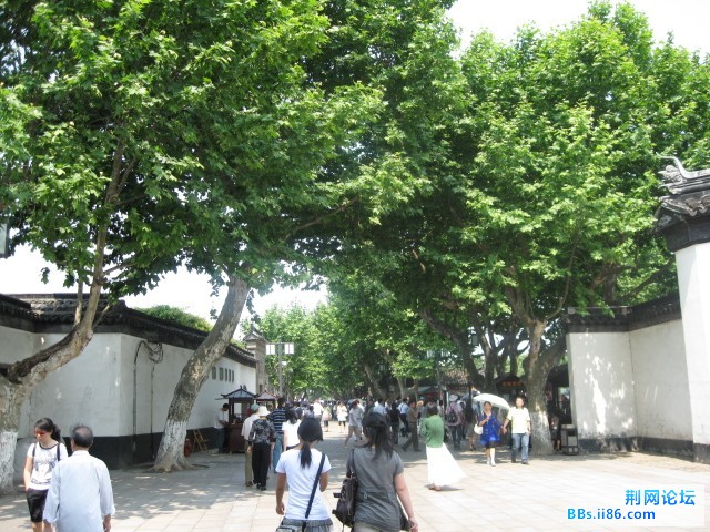 照片 077.jpg