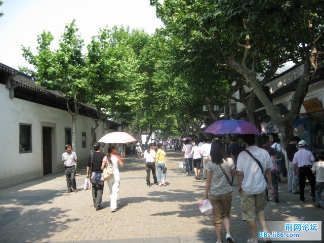 照片 081.jpg