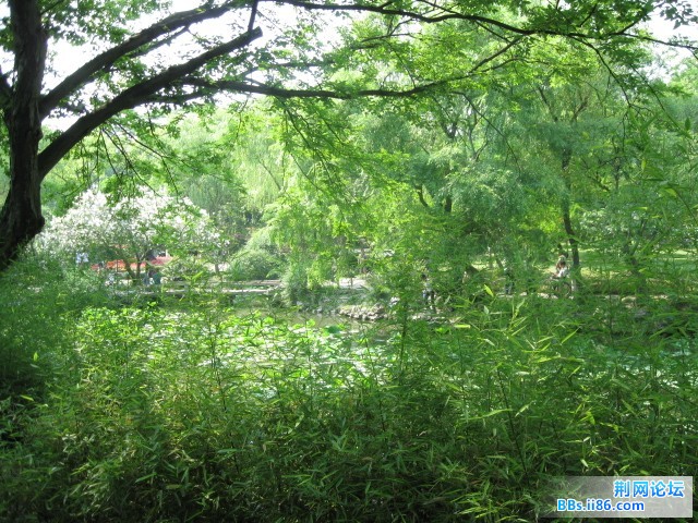 照片 088.jpg