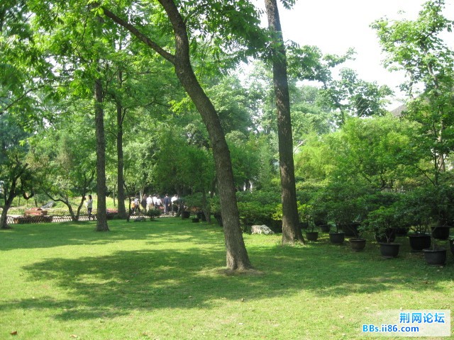照片 089.jpg