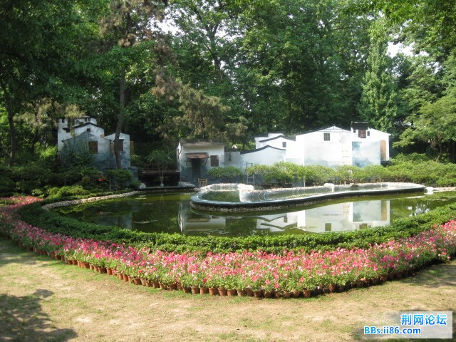 照片 096.jpg