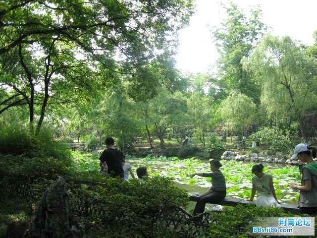 照片 086.jpg