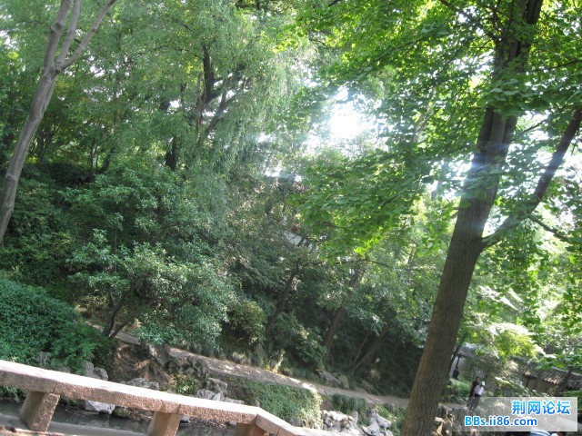照片 098.jpg