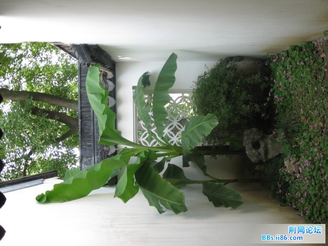 照片 106.jpg