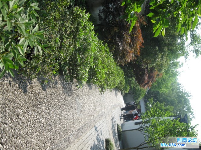 照片 107.jpg