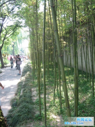 照片 110.jpg