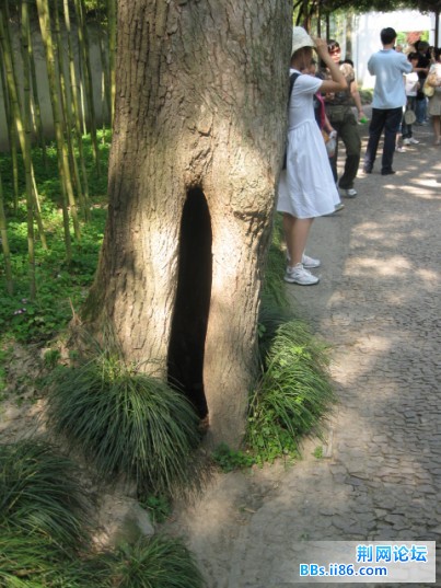 照片 112.jpg