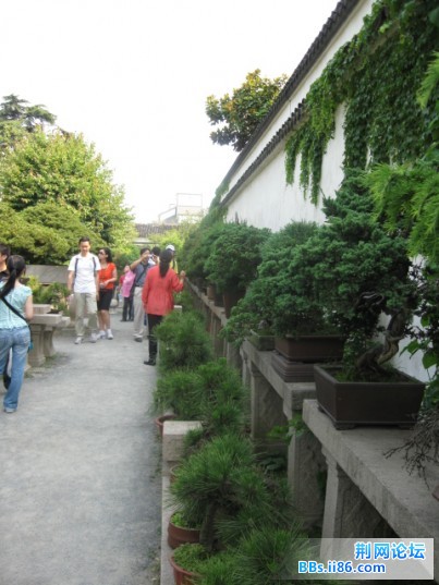 照片 131.jpg