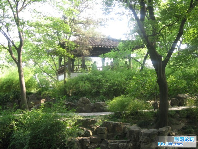 照片 113.jpg