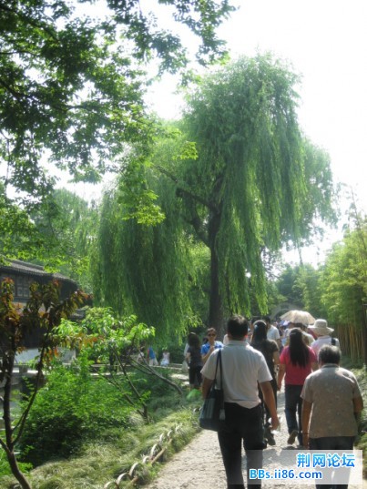 照片 114.jpg