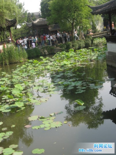 照片 115.jpg