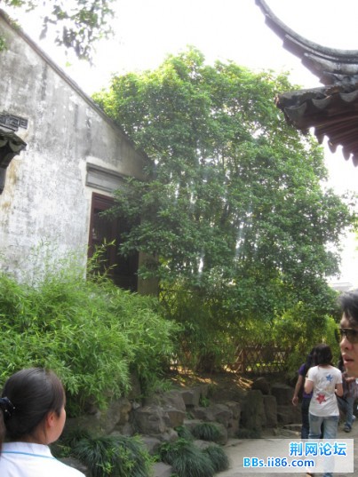 照片 147.jpg