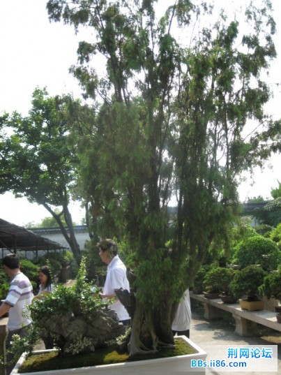 照片 135.jpg