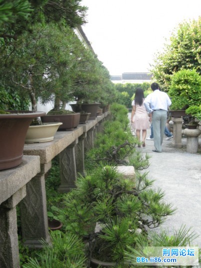 照片 132.jpg