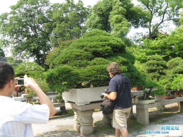 照片 133.jpg
