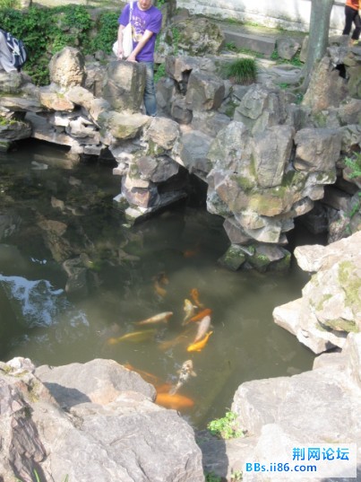 照片 140.jpg