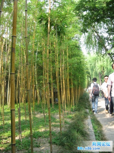 照片 152.jpg