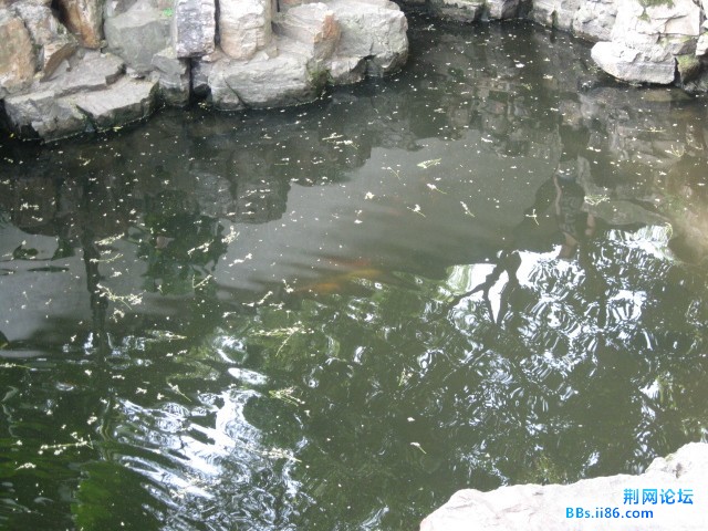 照片 169.jpg