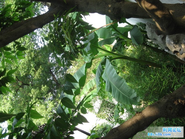照片 167.jpg