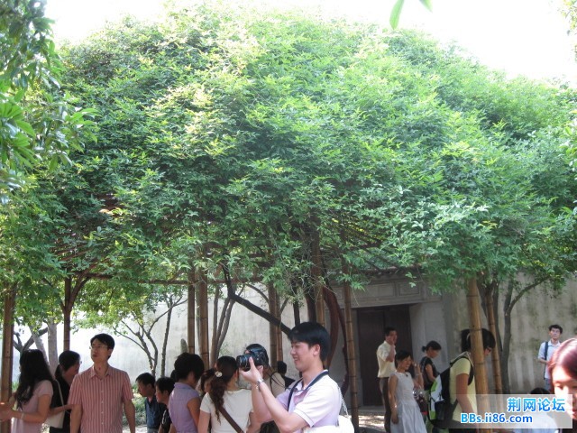 照片 151.jpg