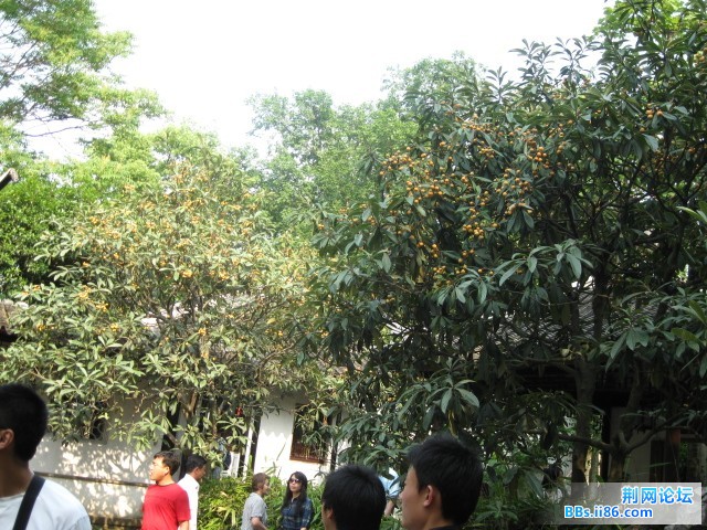 照片 164.jpg