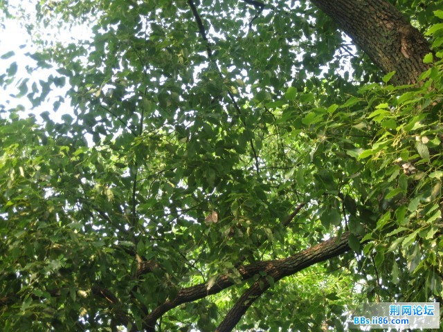 照片 180.jpg