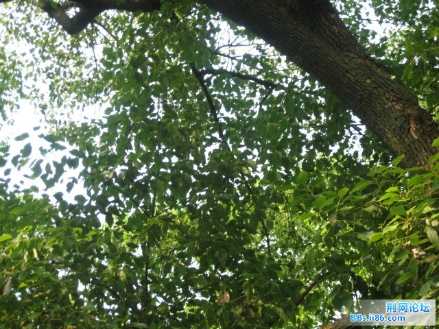 照片 179.jpg