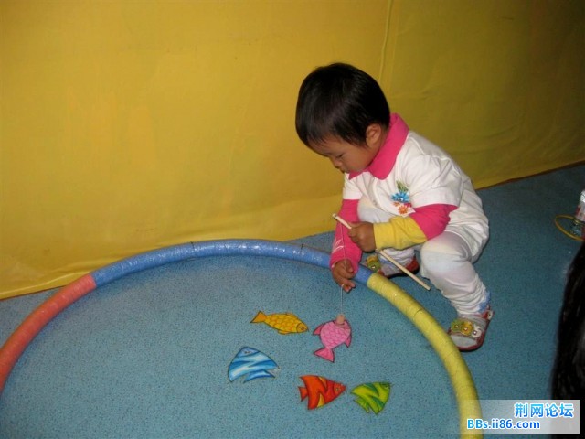 IMG_2985.jpg